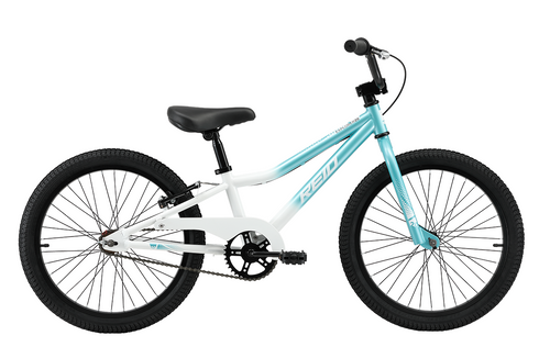 Reid Explorer S 20″ Girls Coaster Edition Bike