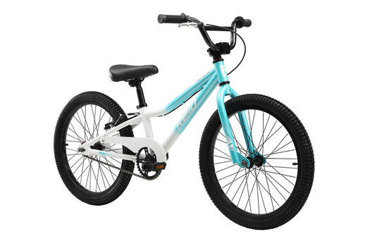 Reid Explorer S 20″ Girls Coaster Edition Bike